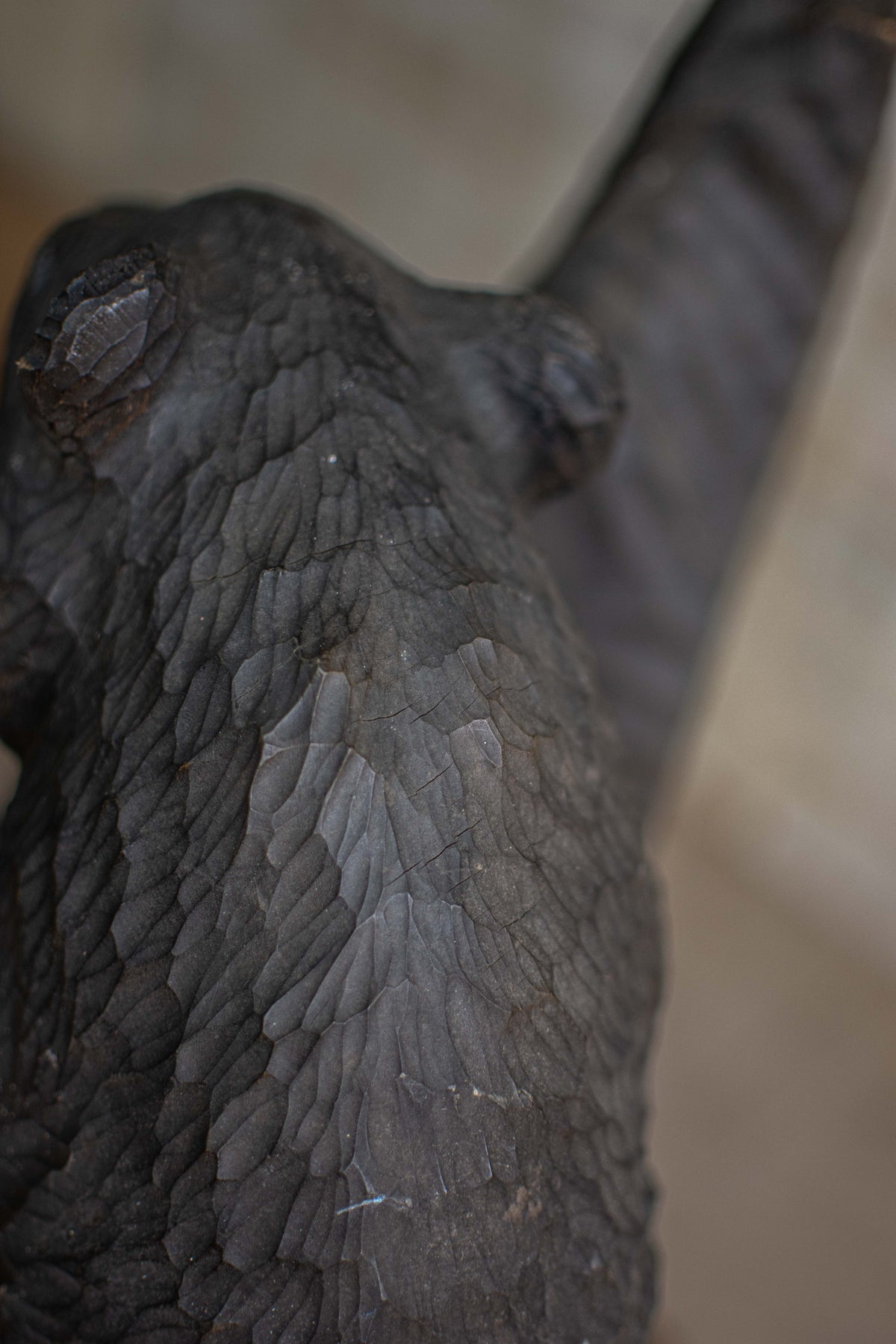 Hand-Carved Ainu Wooden Bear Figurine (Kibori Kuma)