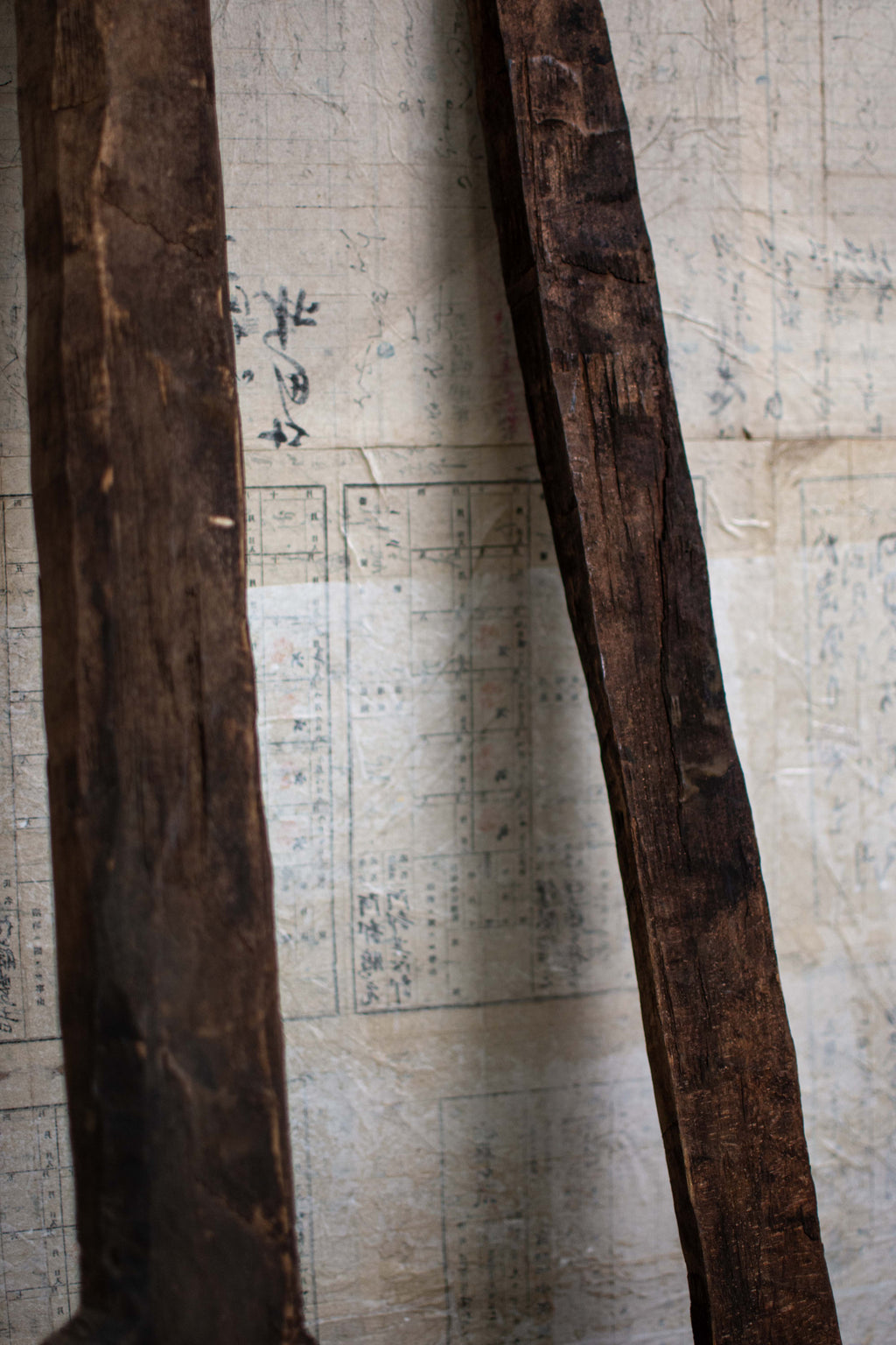 Pair of Hand Carved Snow Rakes